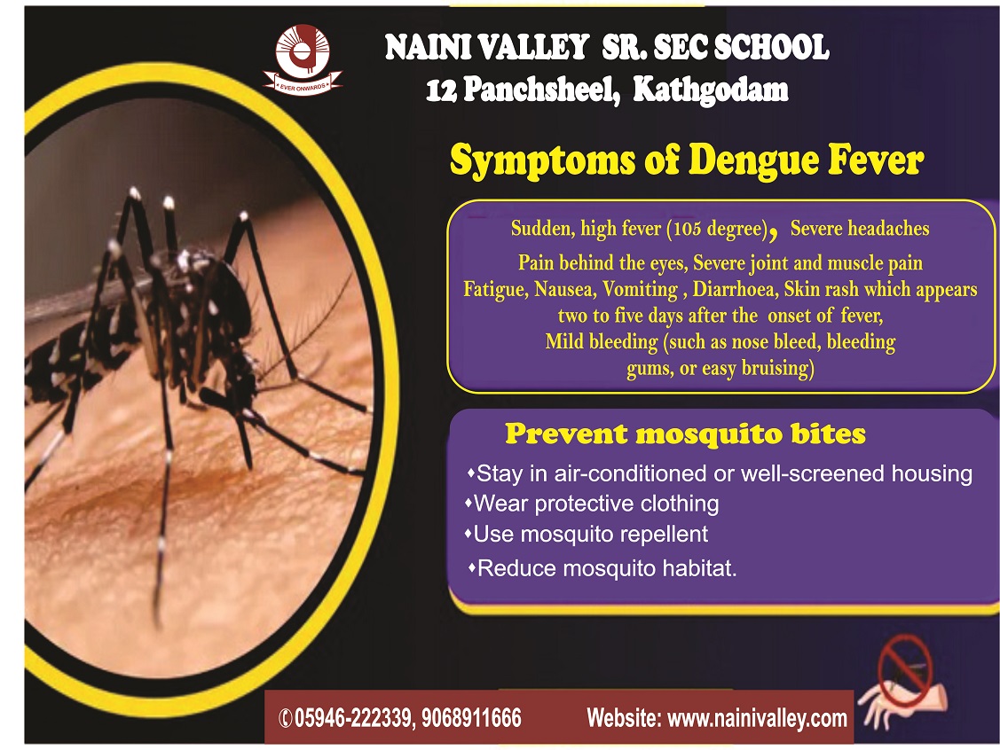 Symptoms of Dengue Fever